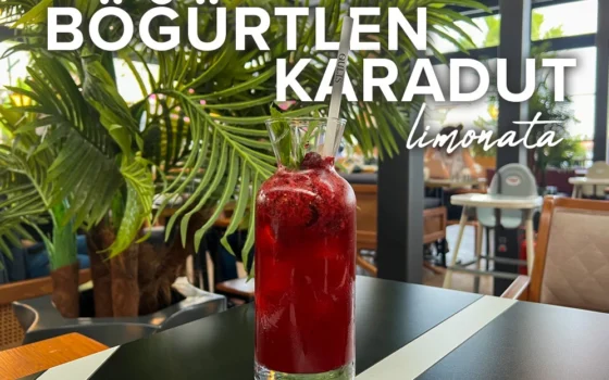 bogurtlenli karadutlu limonata