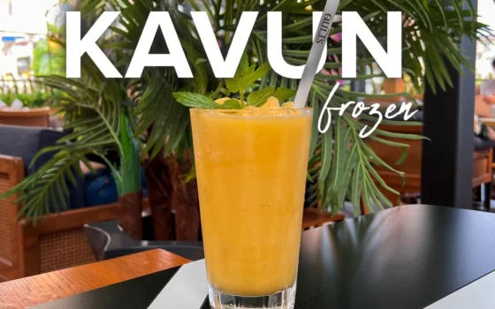 kavun frozen