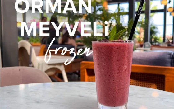 orman meyveli frozen