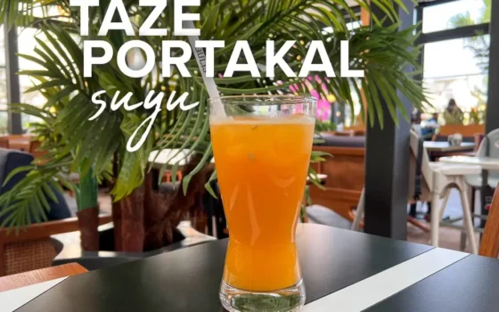 taze portakal suyu